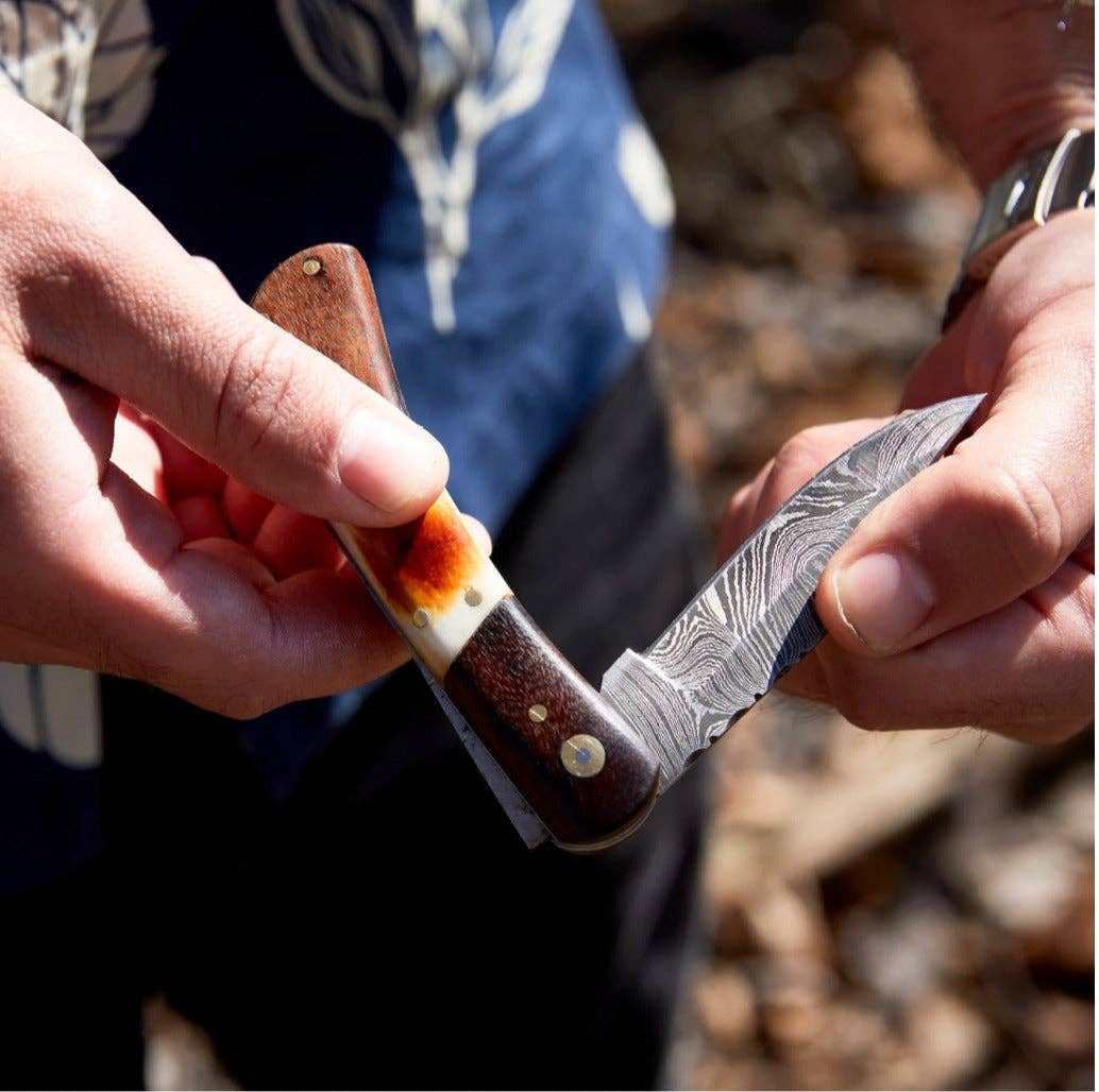 Walnut & Torched Bone Damascus Pocket Knife