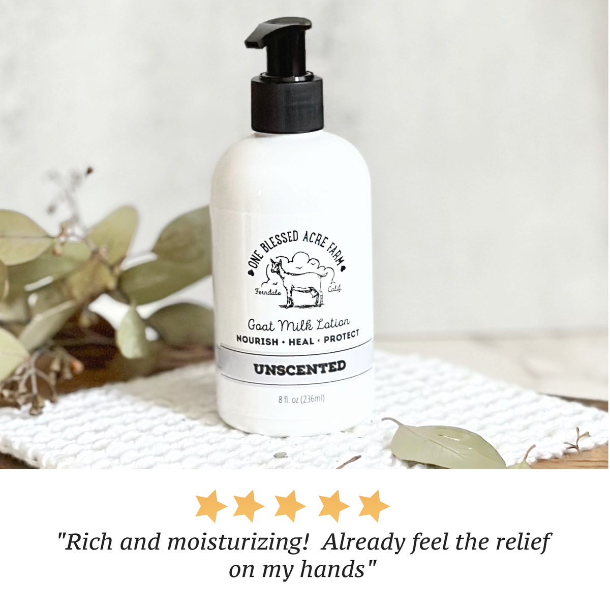 Unscented Goat Milk Lotion for Hand & Body - 2 and 8 ounce