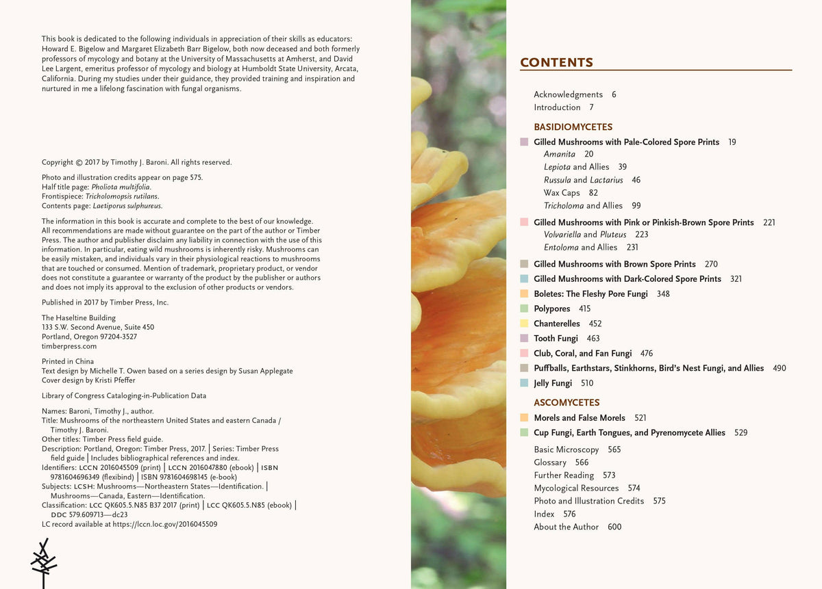 Mushrooms of Northeastern US and Eastern Canada