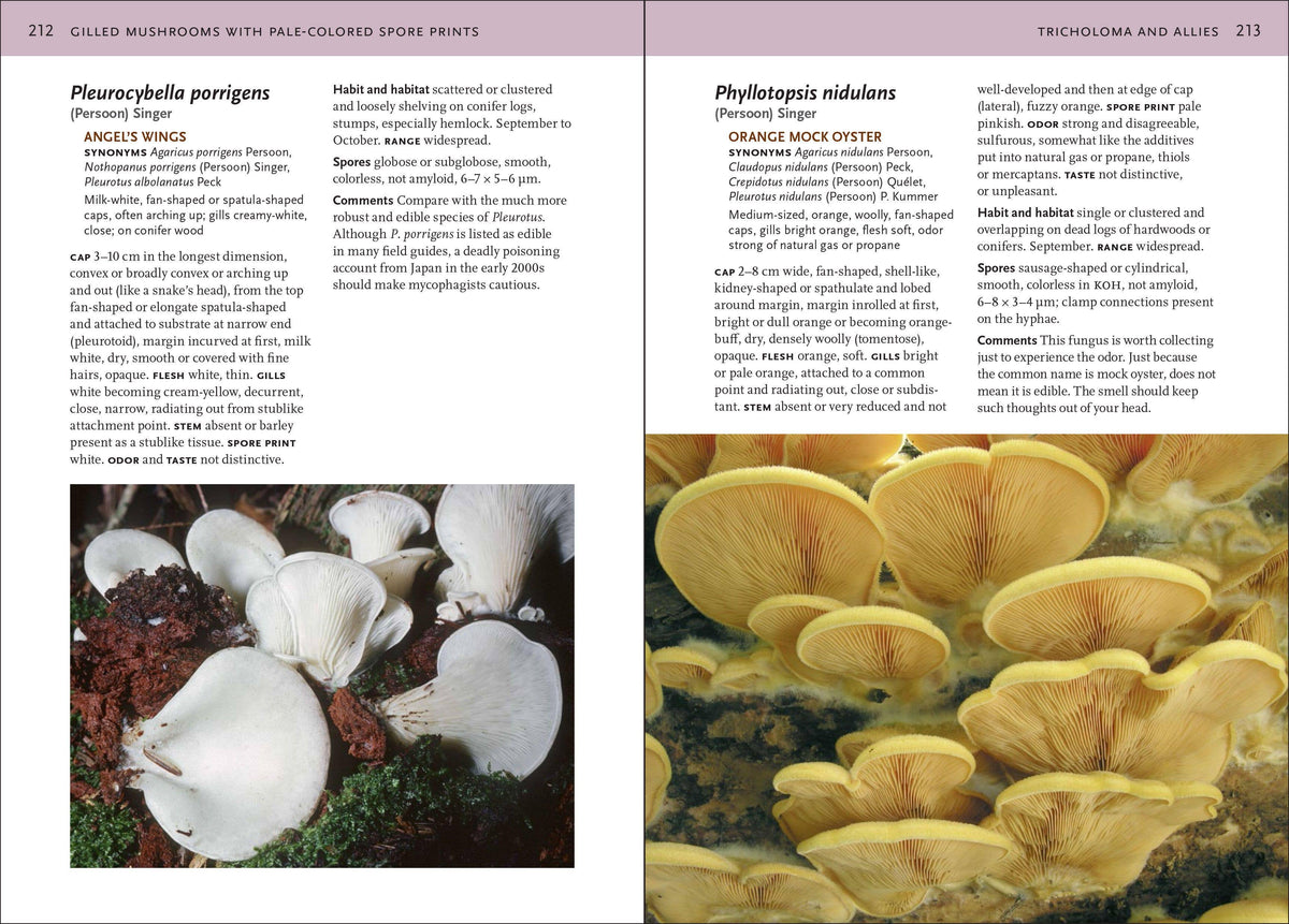 Mushrooms of Northeastern US and Eastern Canada