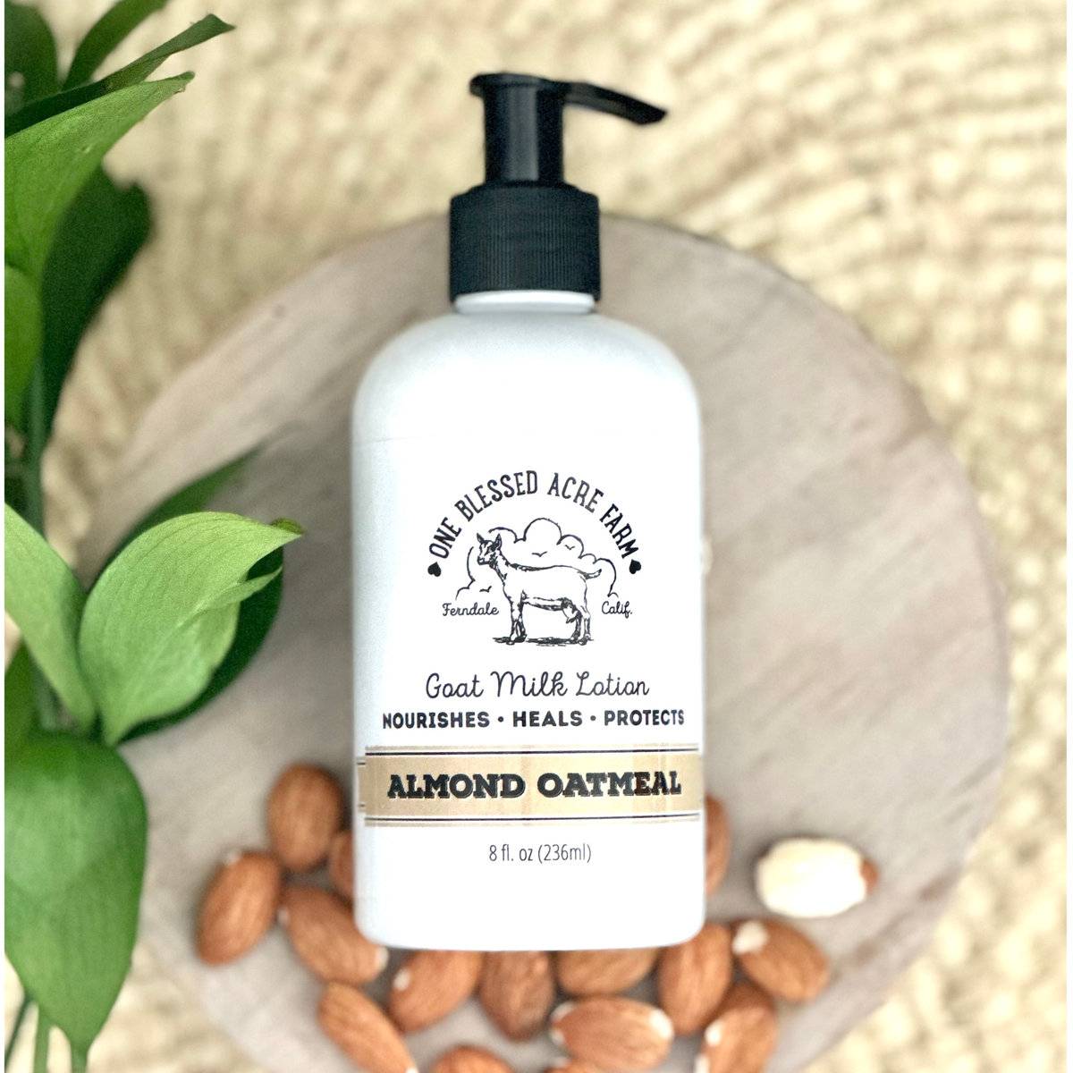 Almond Oatmeal Hydrating Goat Milk Lotion - 2 & 8 oz