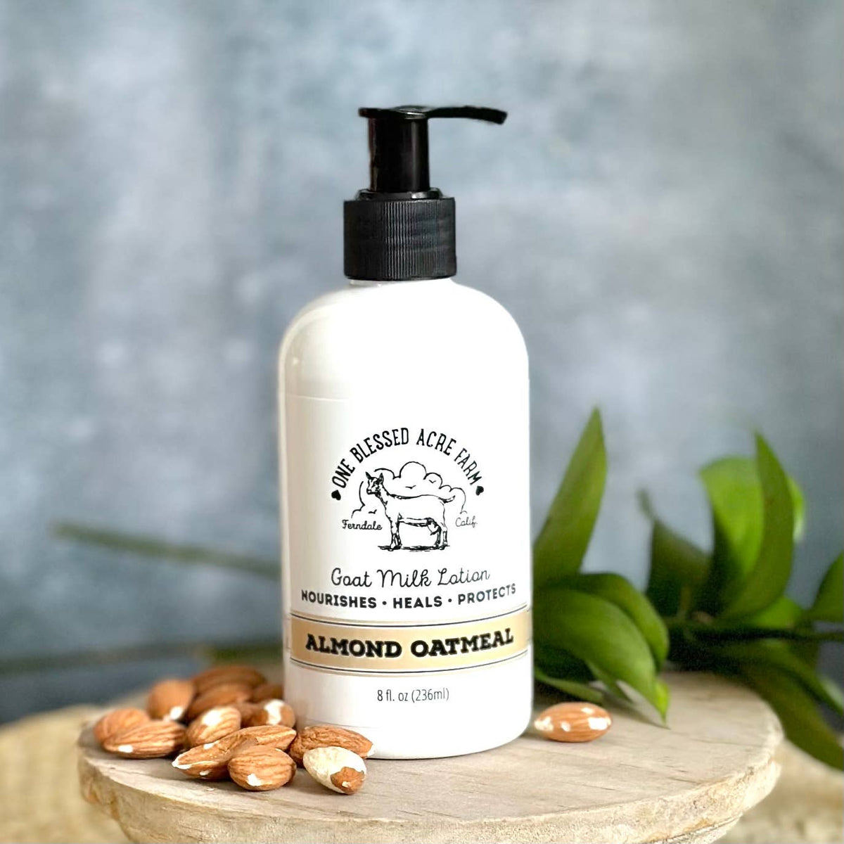Almond Oatmeal Hydrating Goat Milk Lotion - 2 & 8 oz