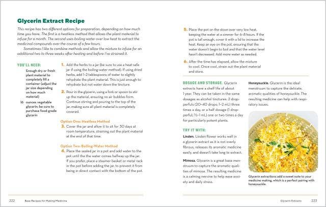 How to Forage for Medicinal Plants Without Dying