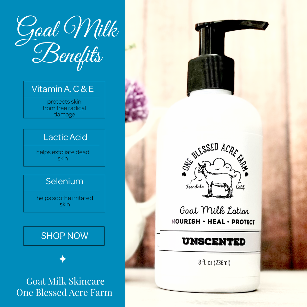 Unscented Goat Milk Lotion for Hand & Body - 2 and 8 ounce