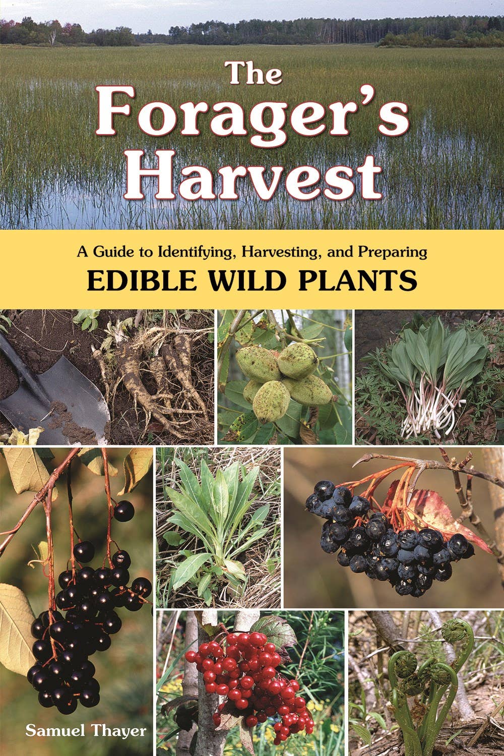 The Foragers Harvest: Guide to Identifying, Harvesting...