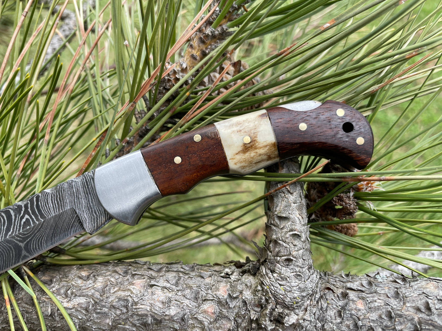 POCKET KNIFE WALNUT WOOD & STAG 6.5'' DAMASCUS STEEL TF-019