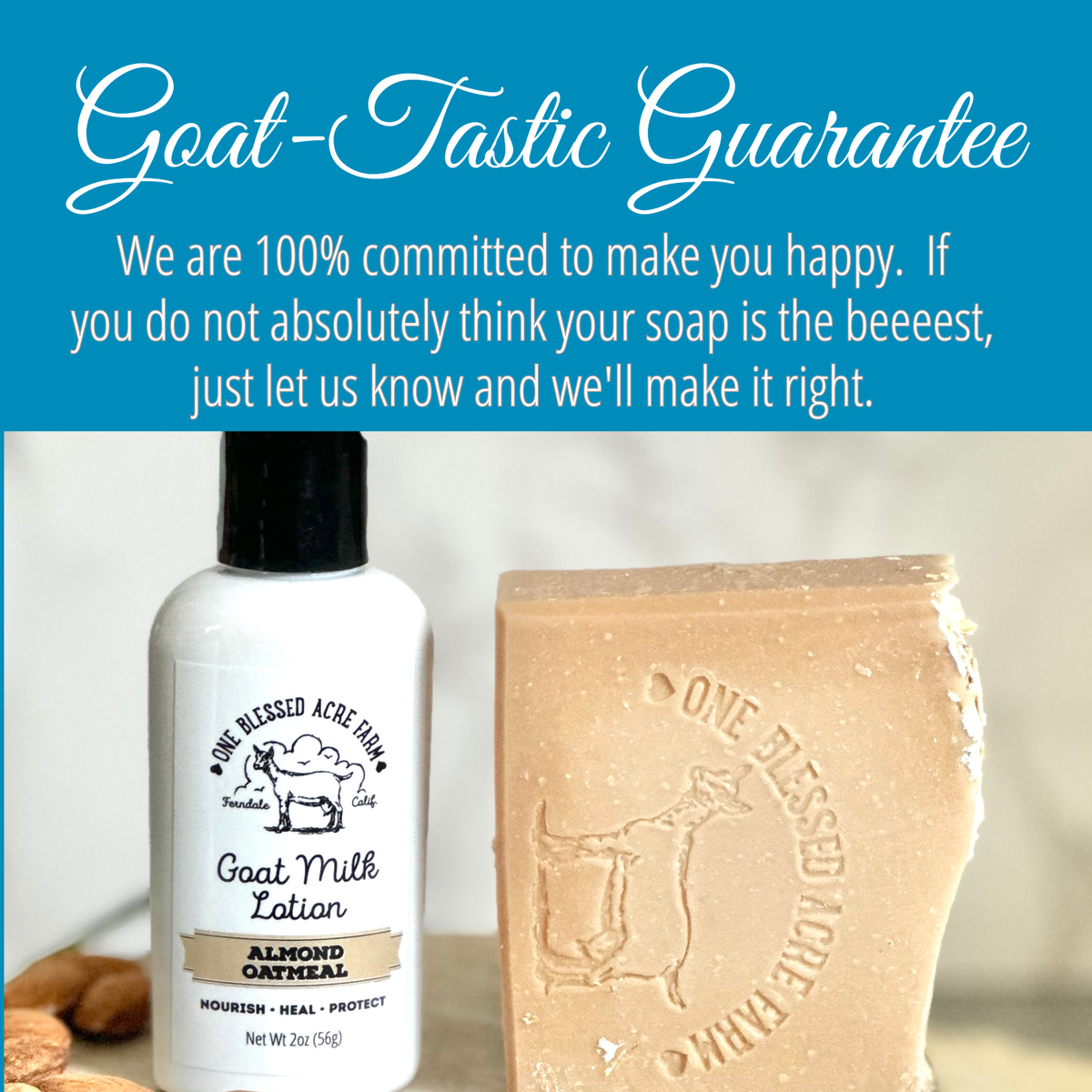 Almond Oatmeal Hydrating Goat Milk Lotion - 2 & 8 oz