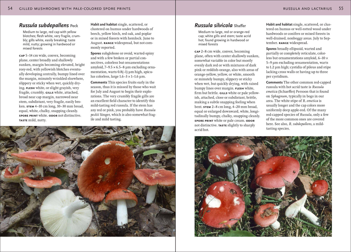 Mushrooms of Northeastern US and Eastern Canada