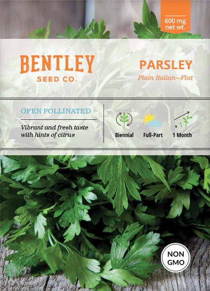 Flat Italian Parsley