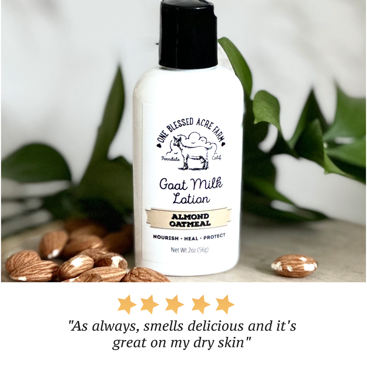 Almond Oatmeal Hydrating Goat Milk Lotion - 2 & 8 oz
