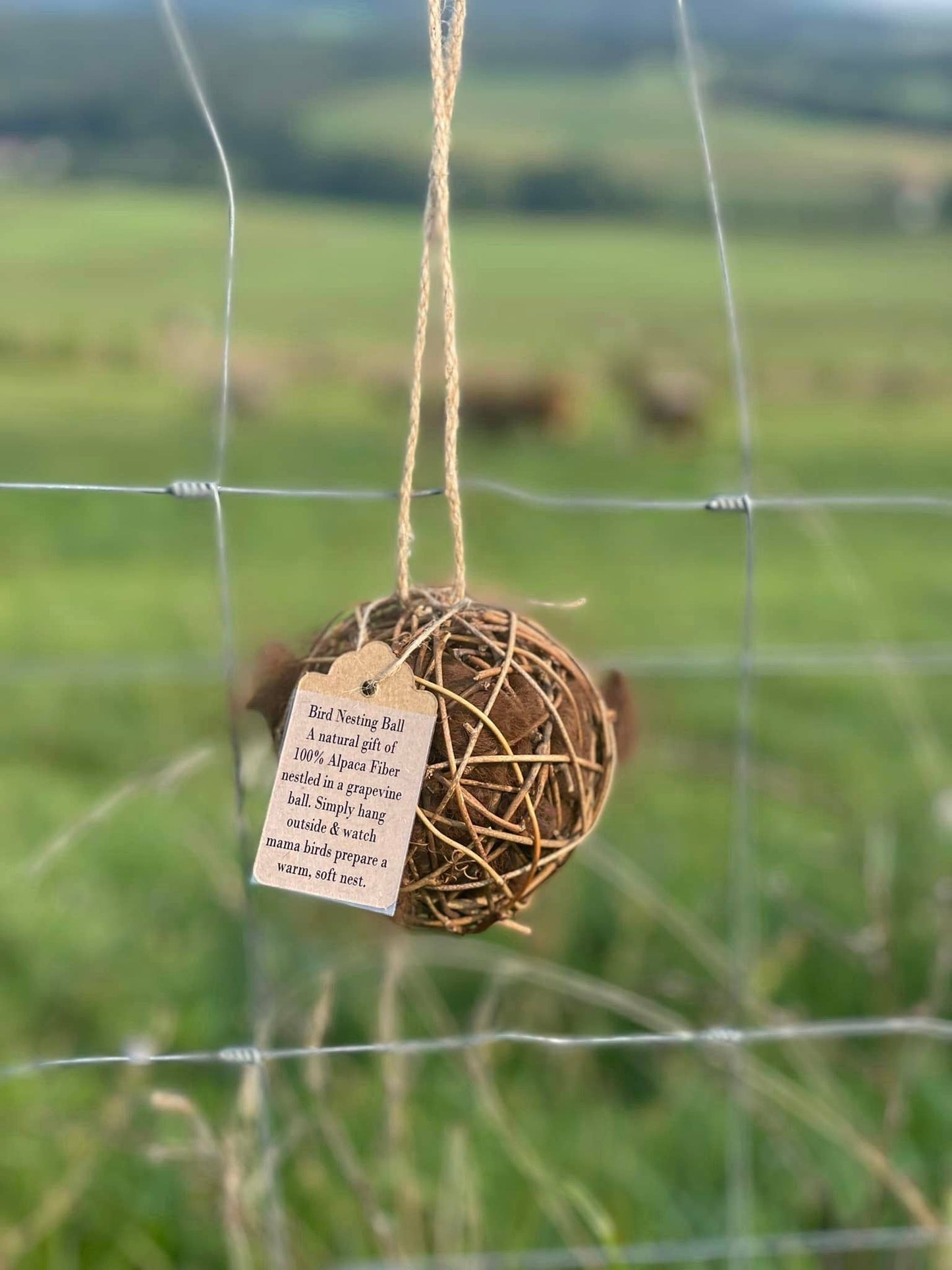 Globe Grapevine Hummingbird Bird Nest Starter, Nesting Balls