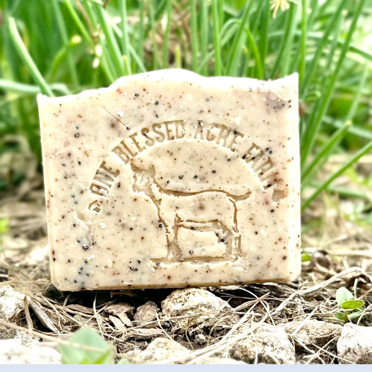 Herb Garden Exfoliating Goat Milk Bar Soap