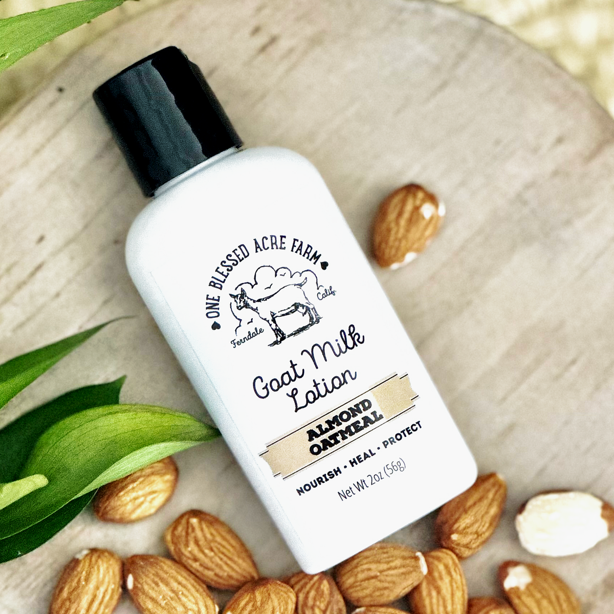 Almond Oatmeal Hydrating Goat Milk Lotion - 2 & 8 oz