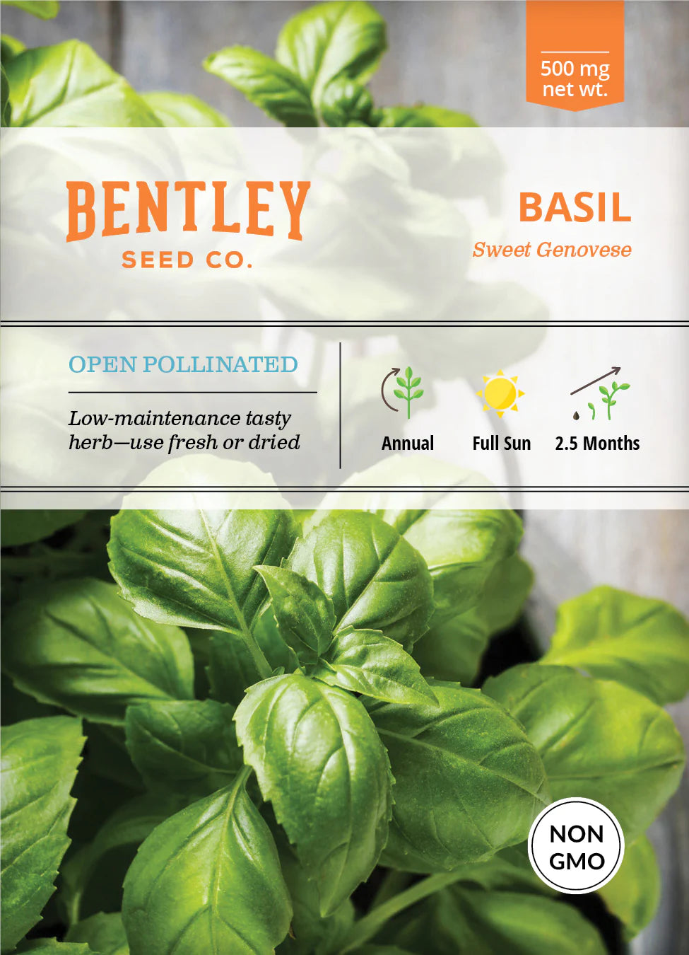 Sweet Genovese Basil