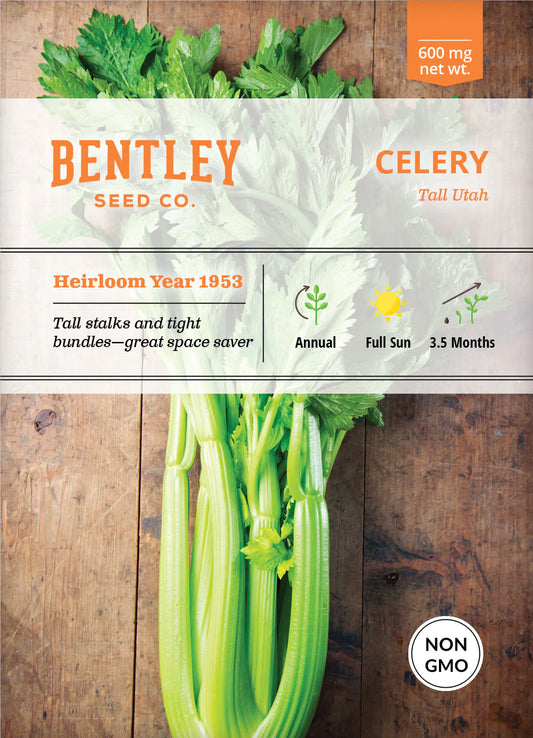 Celery, Tall Utah