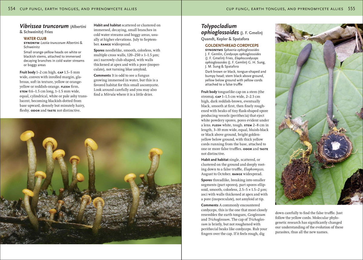 Mushrooms of Northeastern US and Eastern Canada