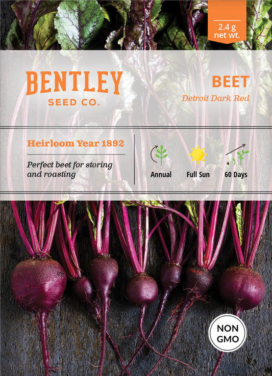 Detroit Red Beet