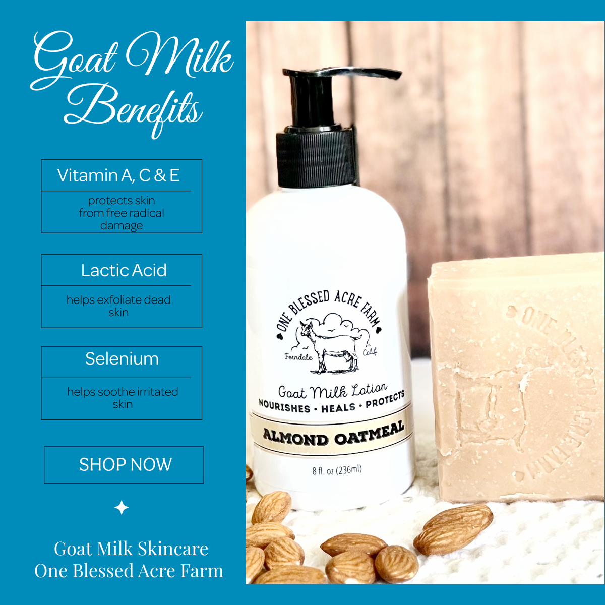 Almond Oatmeal Hydrating Goat Milk Lotion - 2 & 8 oz