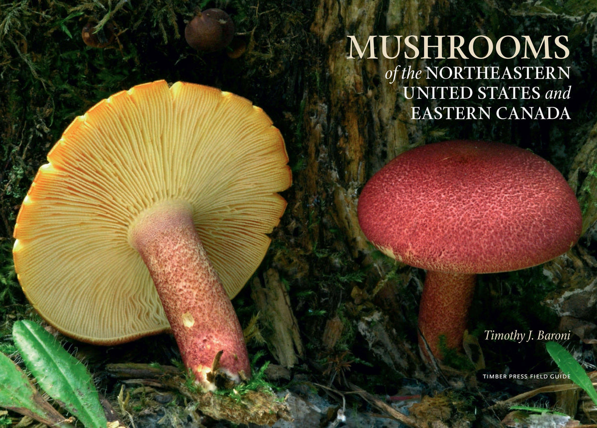 Mushrooms of Northeastern US and Eastern Canada