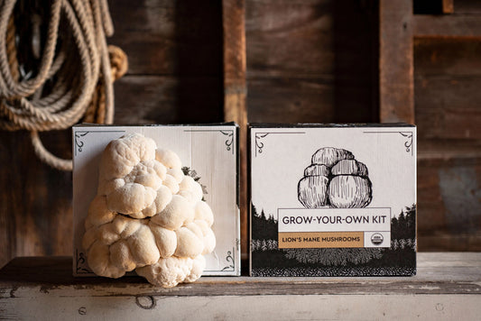 Organic Mushroom Grow-Your-Own Kits