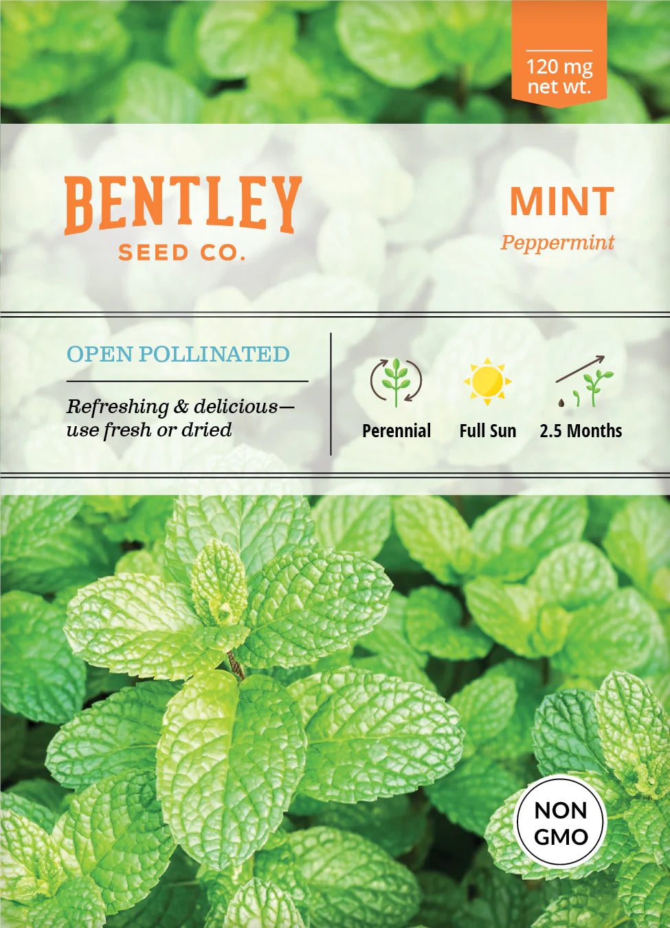 Peppermint Mint