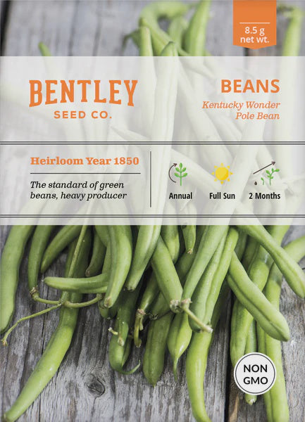 Kentucky Pole Bean