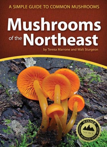 Mushrooms of the Northeast